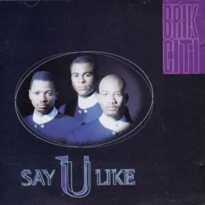 Brik Citi - Say U Like (Promo CDS)