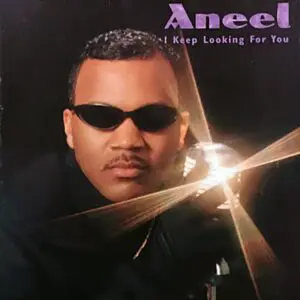 Aneel - I Keep Looking For You