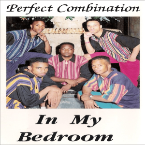 Perfect Combination - In My Bedroom (EP) (Cassette)