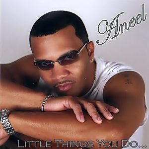 Aneel - Little Things You Do (Rare)