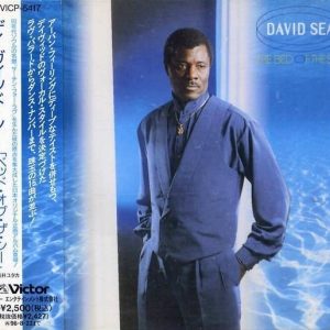 David Sea - The Bed Of The Sea