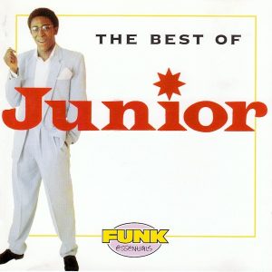Junior - The Best Of Junior