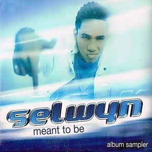 Selwin - Meant To Be (Album Sampler)