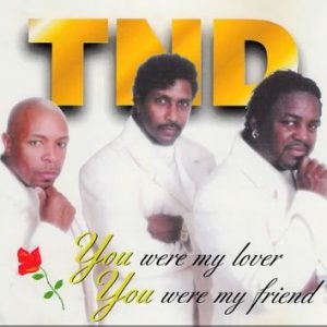 TND - You Were My Lover, You Were My Friend (CDS) (Rare)