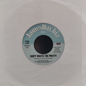 James Day - Don’t Waste The Pretty & Remember When