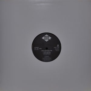 R. Kelly - She’s Got That Vibe (Made In Japan)