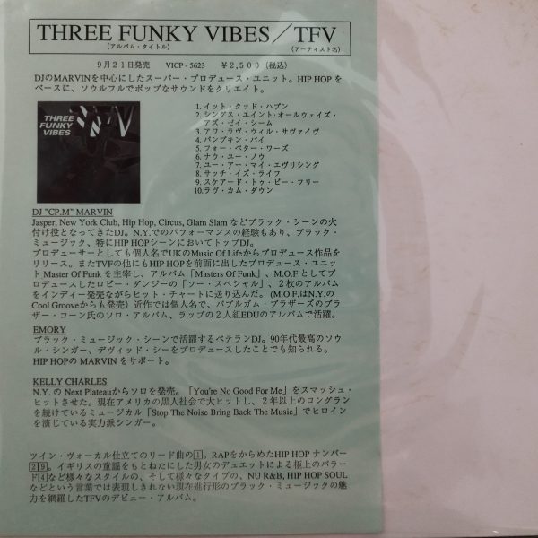 TFV (Three Funky Vibes) - It Could Happen (Extended) (Mega Rare) Made In Japan