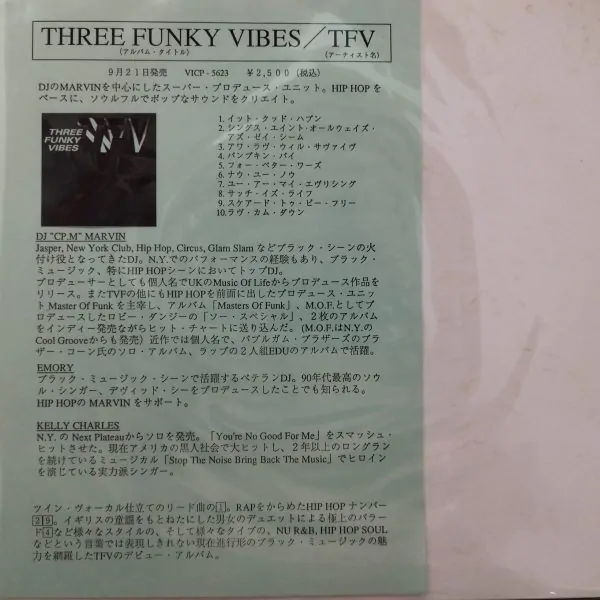 TFV (Three Funky Vibes) - It Could Happen (Extended) (Mega Rare) Made In Japan